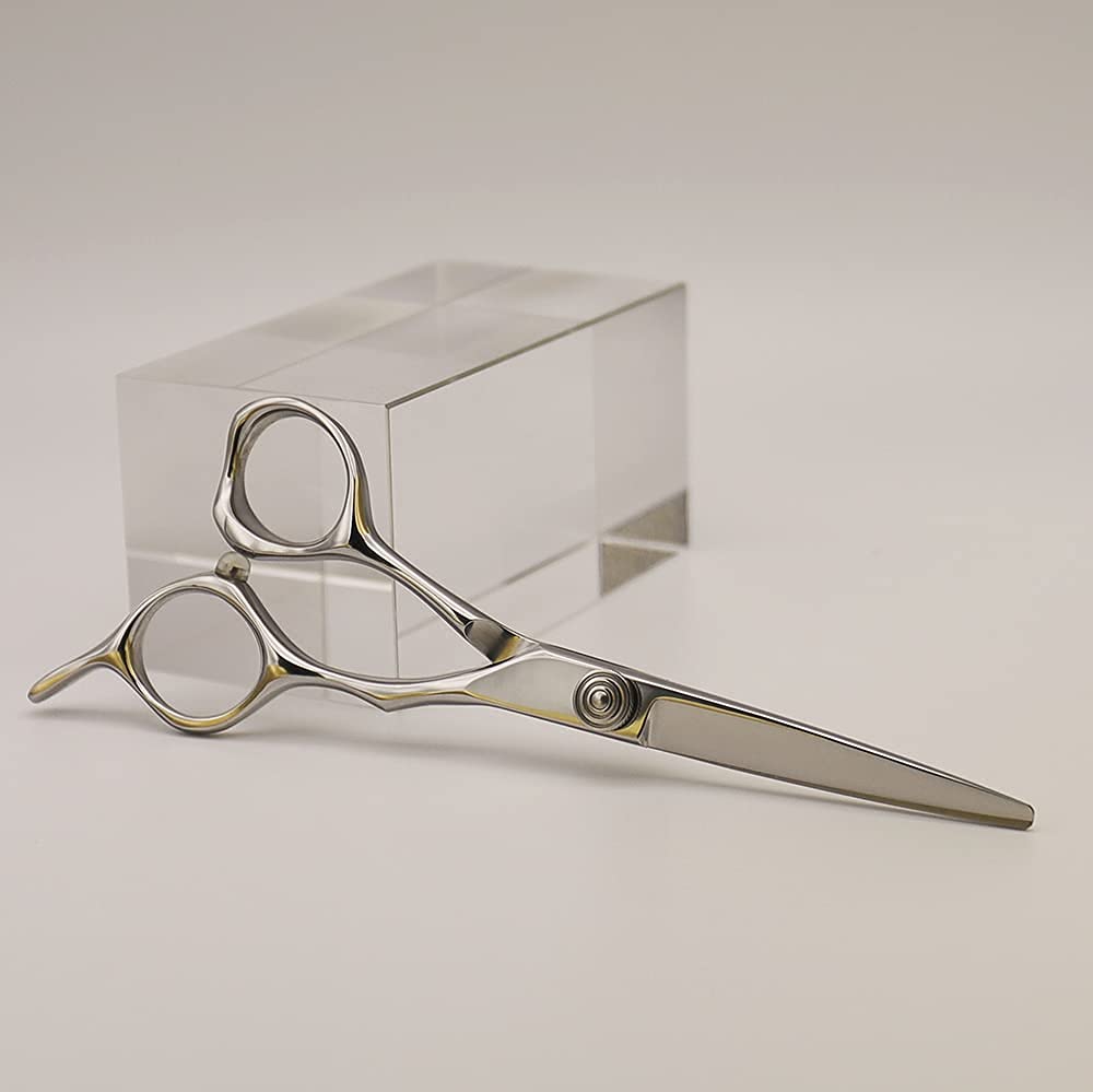 AOLANDUO Inch Professional Hair Scissor AICHI Steel Handmade Hair Cutting Razor Ergonomics for Salon Stylist Hairdresser and Barber 5.5 High-end