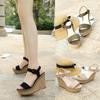 Wedge Sandals Women's Summer Waterproof Platform European and American Women's Shoes 2018 New Thick-soled Suede Fashionable Versatile One-word High He