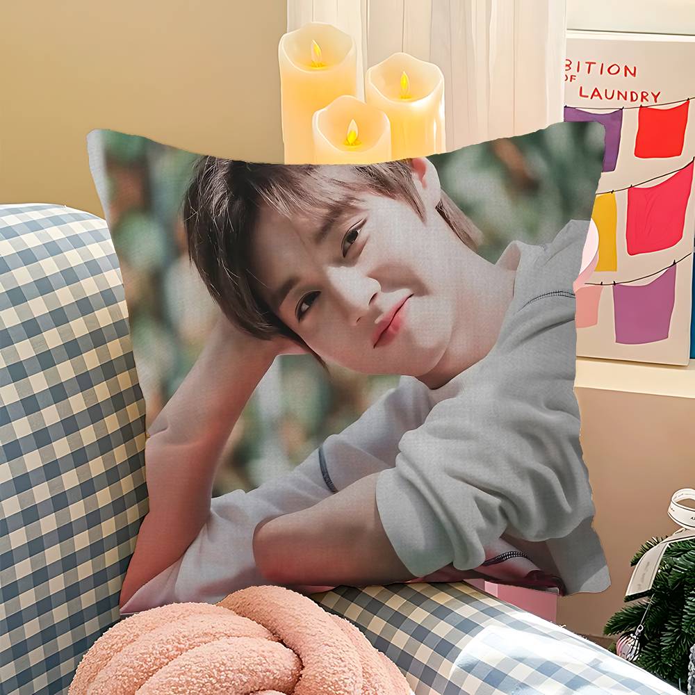 Korean P-PARK JI HOON Cushion Cover Pillowcase Upholstery Sofa Throw Pillow Home Decor Pillowcas