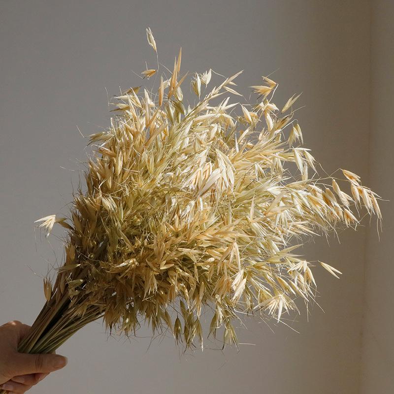 High-End Wabi-Sabi Dried Flower Decor: Natural Reeds & Wheat for Living Room or Homestay.