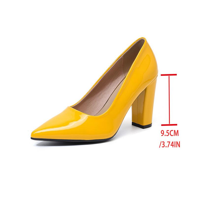 Women's High Chunky Block Heels Sexy Pumps Closed Toe Slip On Pointed Toe Work Dress Office Wedding Party Pumps Shoes for Women High Heeled Shoes