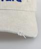 Wig Move Forward Damaged Ball Cap - Light Beige