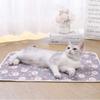 Non-Slip Cooling Pet Mat Breathable Ice Silk Mat Durable Pet Sleeping Pad  Floor Use