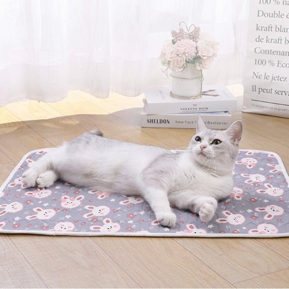 Non-Slip Cooling Pet Mat Breathable Ice Silk Mat Durable Pet Sleeping Pad Floor Use