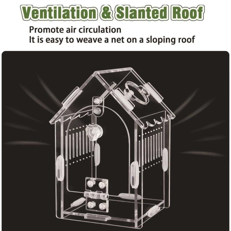 Clear Acrylic Pet Habitat with Ventilation Openings Small Acrylic Animal Home for Proper Ventilation and Security