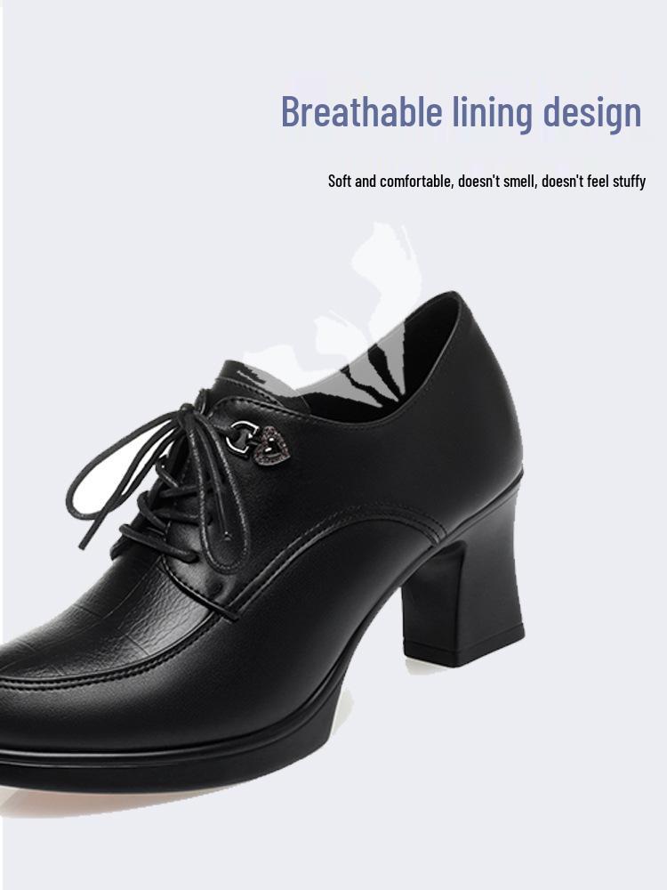 2024 Damskie Skórzane Sznurowane Buty na Wysokim Obcasie - Eleganckie, Głęboki Dekolt, na Wiosnę i Jesień, Idealne dla Kobiet w Średnim Wieku