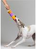 QMonster Dog Ice Cream Sound Toy - Colorful, Slow Rebound, Stress Relief