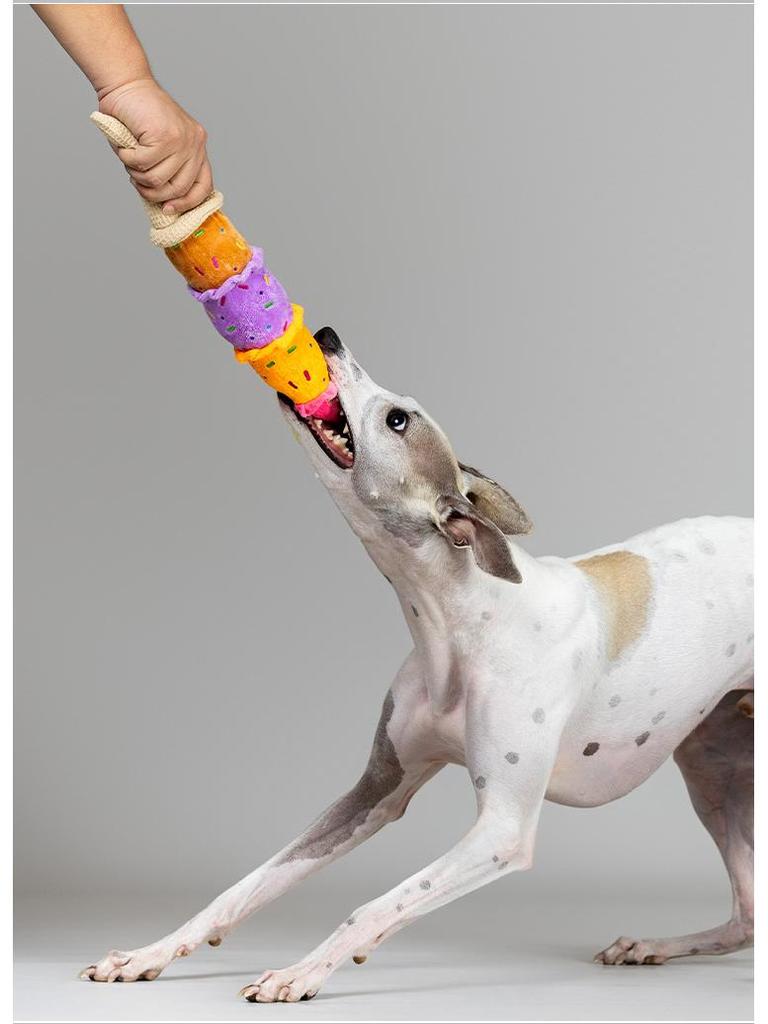 QMonster Dog Ice Cream Sound Toy - Colorful, Slow Rebound, Stress Relief
