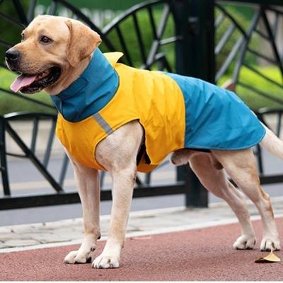 Bekleidung & Schuhe – Regenmäntel für Hunde