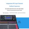 Runpu 20-Channel Professional Digital Mixing Console (CN Version)