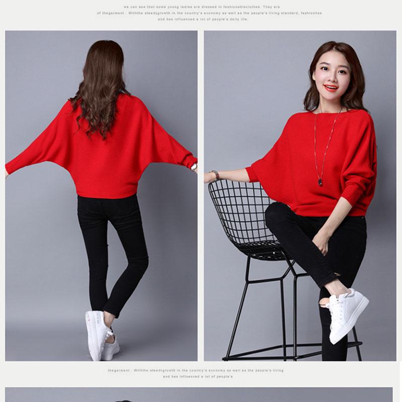Knit  Pullover Sweater Women's Batwing Sleeve Sweater Coat Loose Large Size Batwing Sweater Short Outer Wear