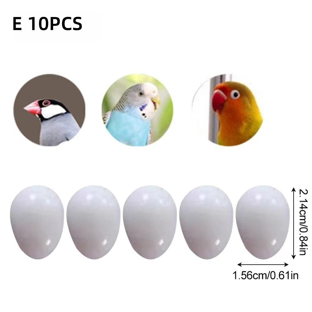 10pcs Realistic Dummy Eggs Multi-size Parrot Eggs Model Simulation Bird Eggs  For Budgie Cockatiel
