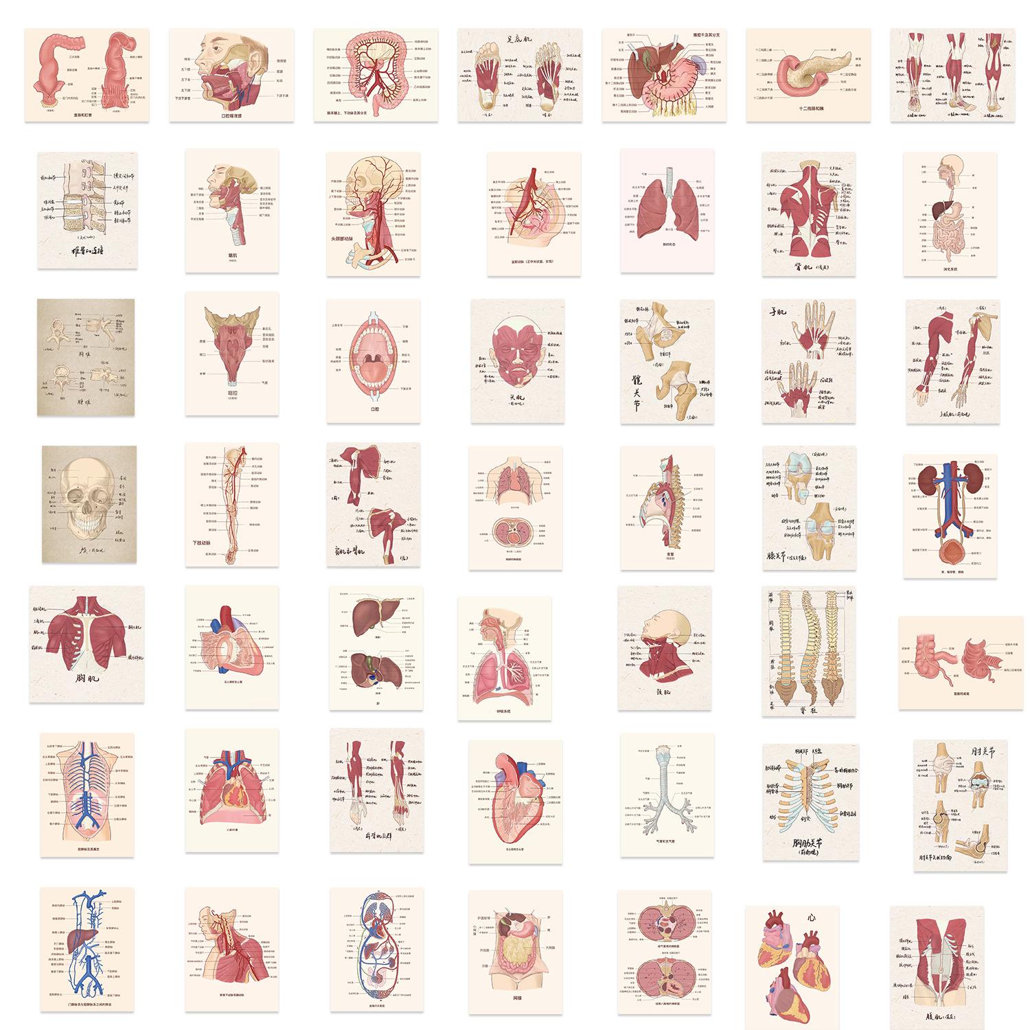 

50 Плакатов с органами, Граффити-наклейки, Гитара, Блокнот, Чемодан, Сделай сам, Водонепроницаемые наклейки