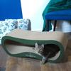 Leon cat scratching post | green | 78x28x24 cm | MruuPruu