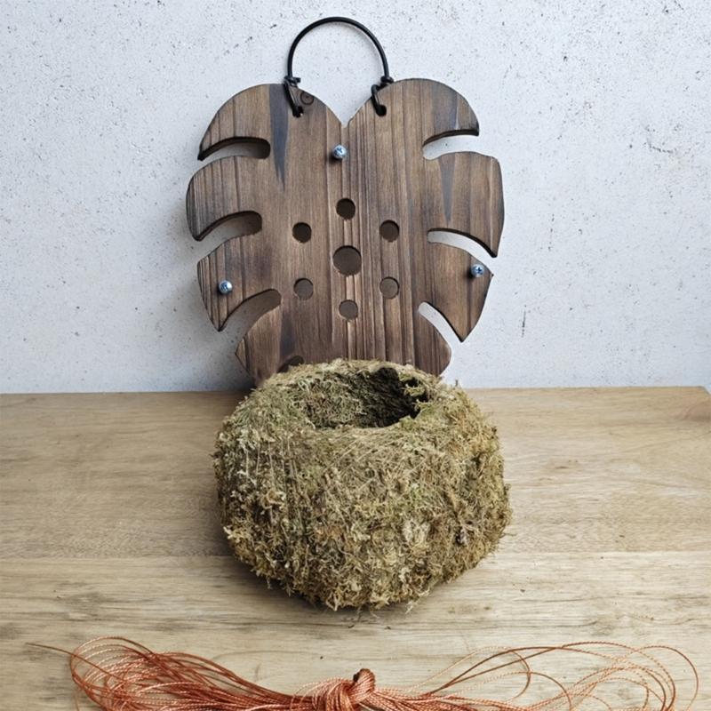 Wooden Hanging Planter Container For Staghorn Ferns With Iron Hook Indoor Wall Mount For Mosses Plant Leaf Shape Design