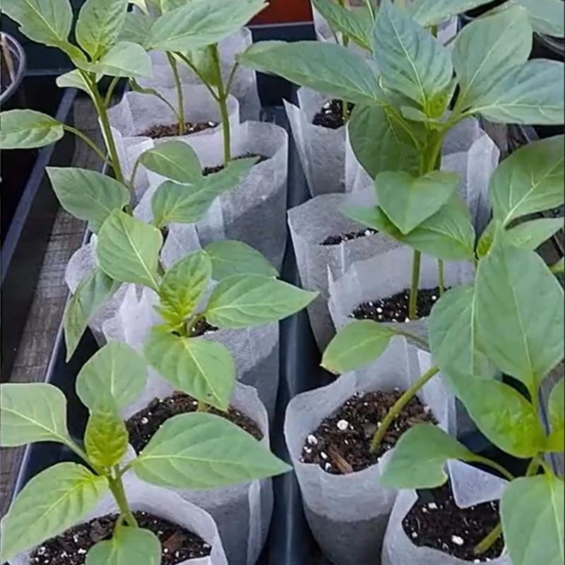 100Pcs Biodegradable Nursery Bag Garden Planting Bag Non-Woven Fabric Plant Grow Bag Seeds Flowerpot Garden Accessories