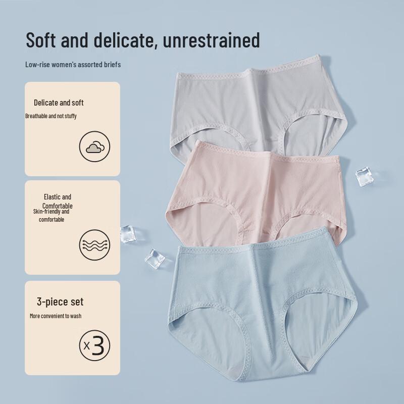 Regina Miracle Women's Cotton Blend Breathable Underwear - 3 Pack