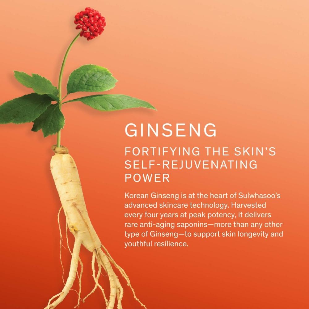 Sulwhasoo Concentrated Ginseng Rejuvenating Serum 1.7 Oz   50 Ml