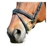 Collegiate Comfitec Leather Horse Bridle