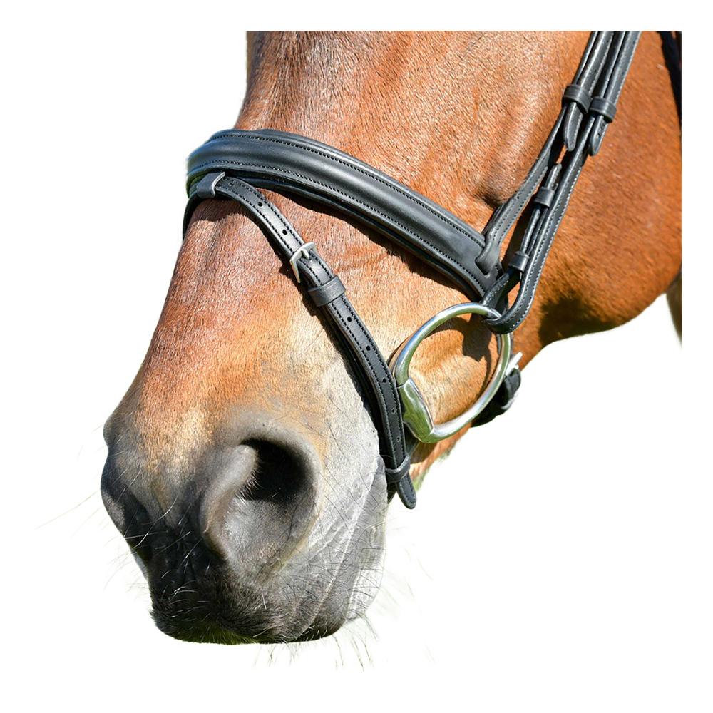 Collegiate Comfitec Leather Horse Bridle