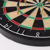 Professional Competition Dartboard