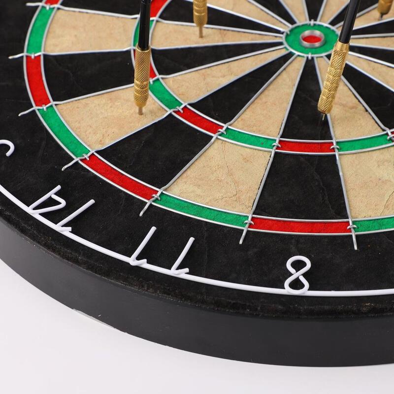Professional Competition Dartboard