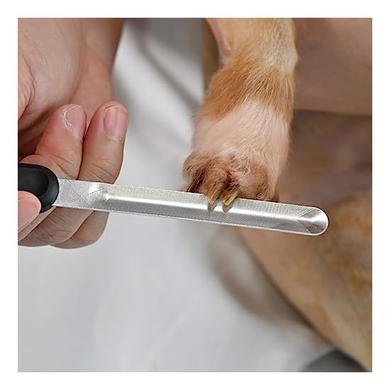 2-Way Curved Nail File for Pets: For Senior Cats & All Dog Breeds
