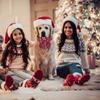 1 Hundehalsband mit Schleife, Thanksgiving-Hundehalsband, verstellbares Hundehalsband aus Baumwolle mit Fliege für mittelgroße Hunde