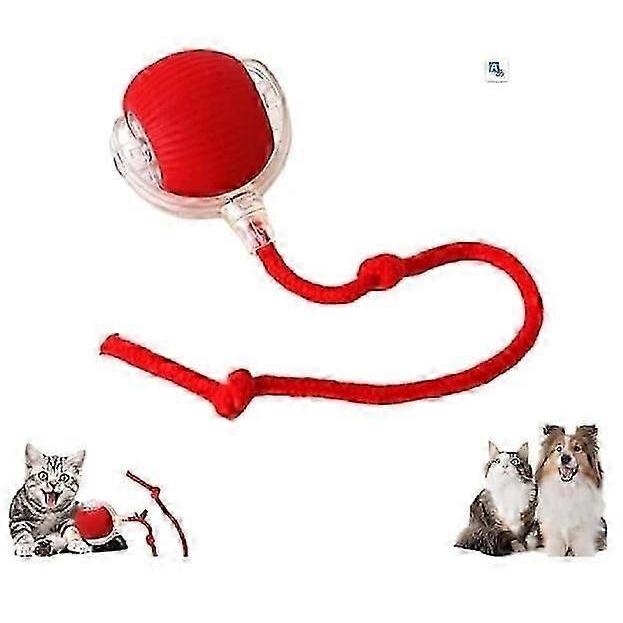 Pet training toy tuggboll interactive play