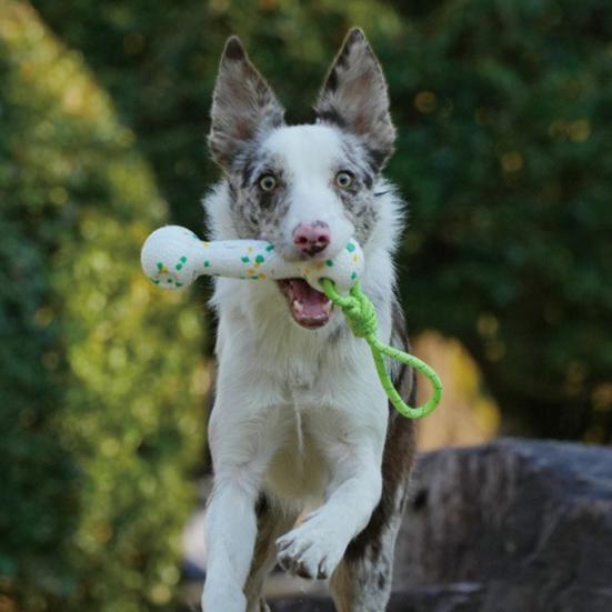 Interactive Pets Chew Toy Dumbbell Dog Toy Wear-resistant Rope Ball with Reflective Strips Dental Care Dog Toy