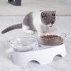 MILIFUN Cat Bowls, Cat Food Bowls Elevated Tilted, Anti Vomiting Kitty Bowl for Puppy and Bunny, Orthopedic for Indoor Cats.