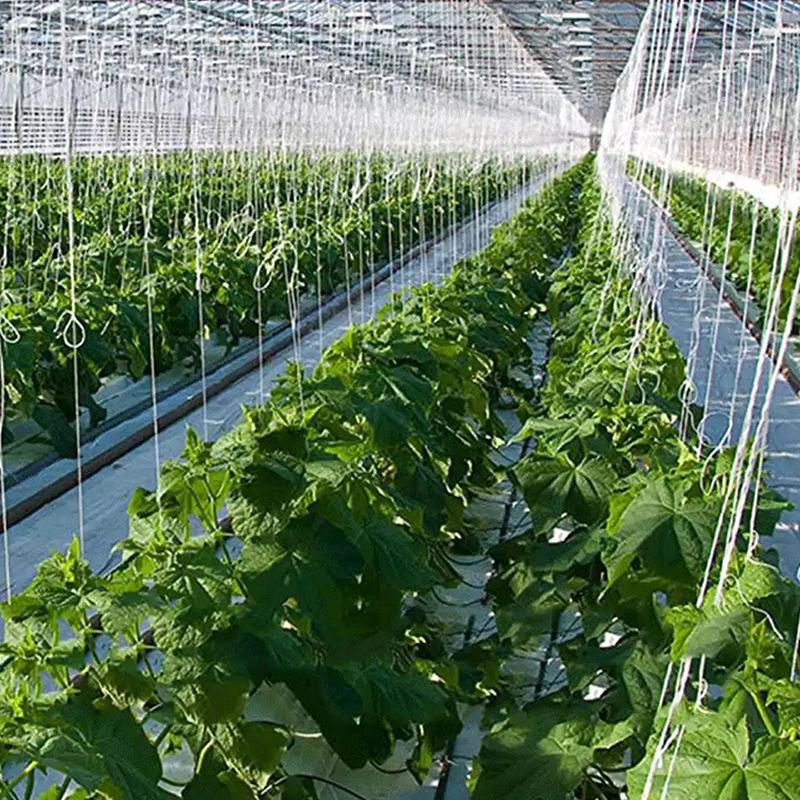 6 Stück/Set Garten Pflanzenroller Haken Tomatenstützhaken Kits Stützschnur Seil für Tomaten Auberginen Wassermelonen Paprika