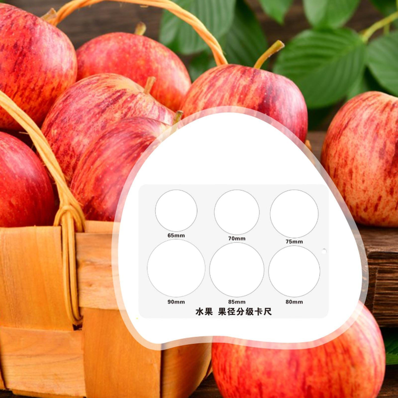 Fruit Caliper Apple Diameter Grading Calipers Professional Ruler Measuring 6 Hole Sheet