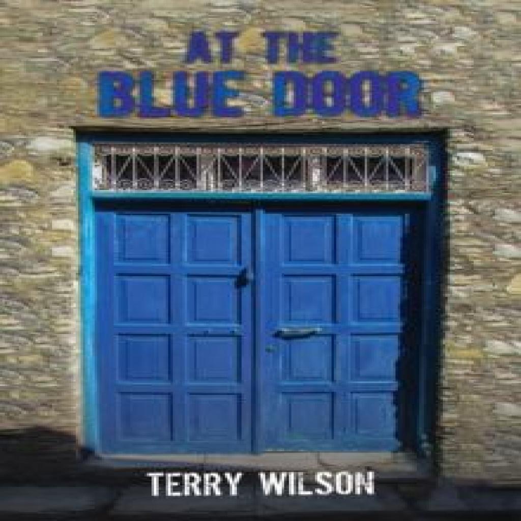 At the Blue Door by Terry Wilson Hardback Book 9781035820948