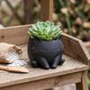 Ornaments Cat Shaped Flower Pot Lovely Mini Flowerpot Creative Succulent Flower Pot  Table