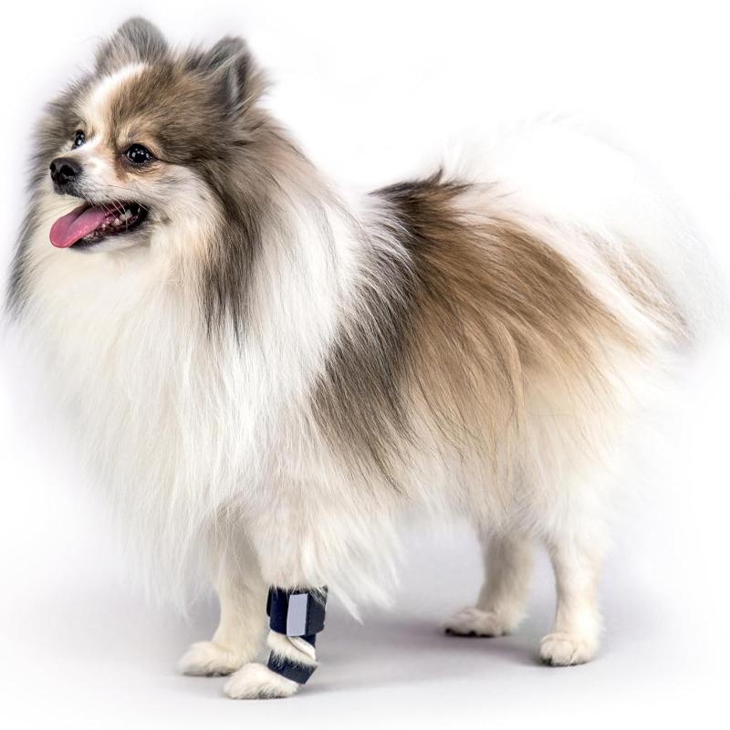 Veterinarian Approved Dog Ankle Carpal Support Brace Lightweight Aluminum Splint Anti-Limp Compression Neoprene Leg Wrap For Small Medium Large Dogs