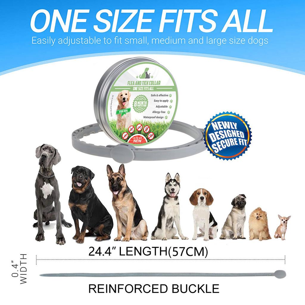 pro guard flea collar