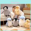 Adorable Cute Ocean-themed Penguin Walrus Plush Toy For Girls Perfect Gift
