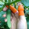 Silicone Thumb Knife Finger Protector Vegetable Mini Knife Plant Scissors