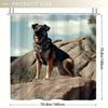 1Pc Large Dog On A Rock Shower Curtain, 70.8X70.8 Inch Durable Polyester Fiber, Easy Clean, With Hooks, Machine Washable, Fabric