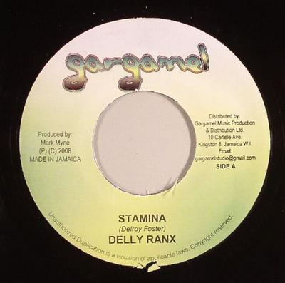 7inch Record DELLY RANKS / NEW KIDZ - Stamina / Flava NONE Gargamel Music 2008 Jamaica Reggae, Ska & Dub Used
