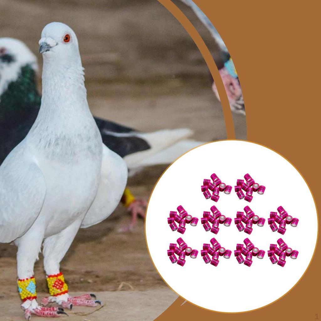 100 Pieces Pigeon Leg Rings Dove Poultry Supplies Reusable Identifying Bands Tags for