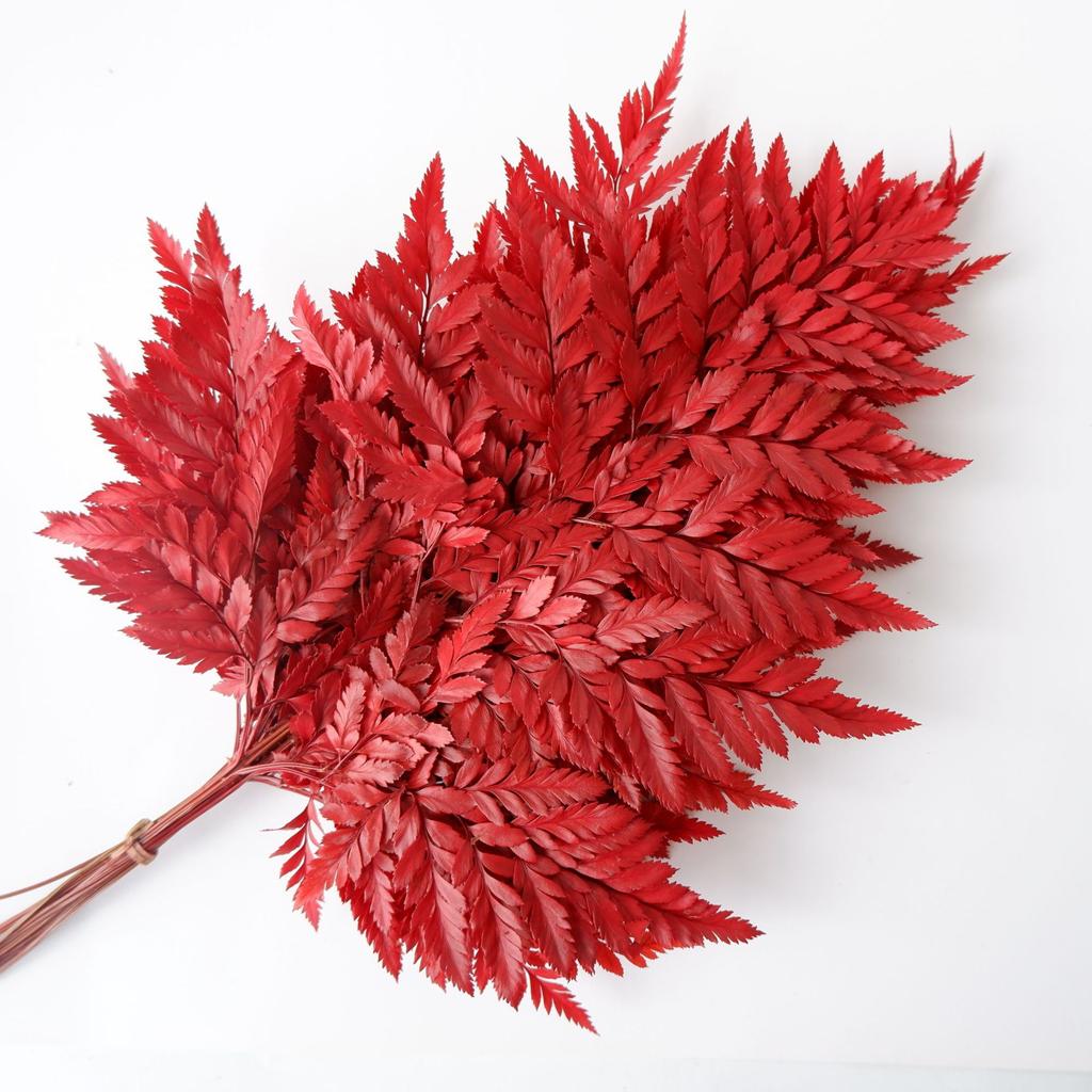 Eternal Alpine Fern Golden Alpine Fern Leaf Immortal Flower Dried Flower Bouquet Wedding Decoration With Grass