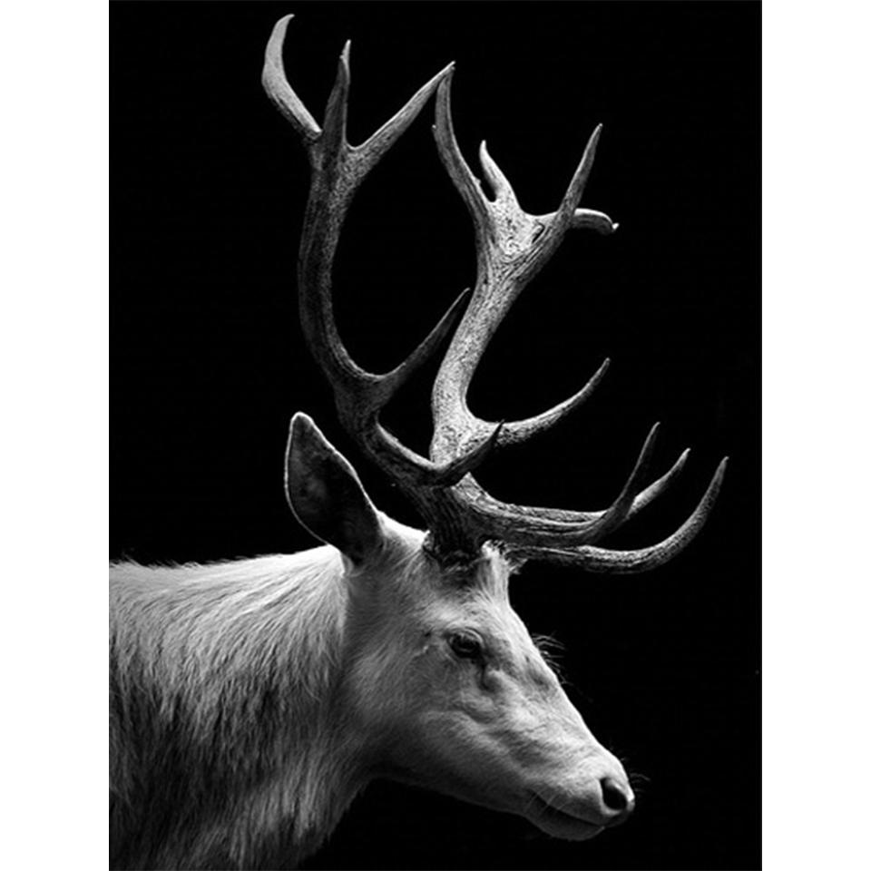 5D Round Diamond Painting "animal" Lion Tiger Diamond Embroidery Cross Stitch Kit Rhinestone Mosaic Picture DIY Decoration Gift