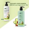 Plum Avocado & Argan Frizz Control Shampoo 250ml Pack of 1 for Curly Wavy Hair Smooth Moisturized
