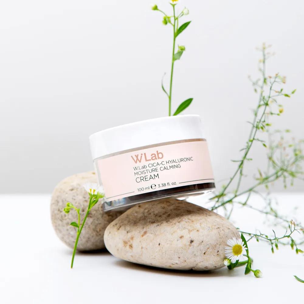 WLab Cica-C Hyaluronic Acid Moisture Calming Cream 100ml