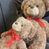 [USED] Parent and Child Lover Teddy Bear