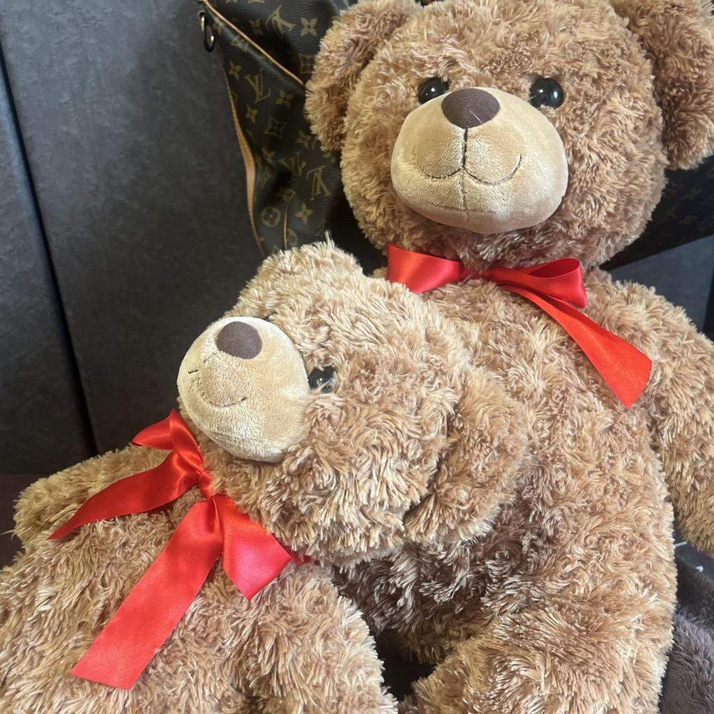 [USED] Parent and Child Lover Teddy Bear