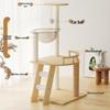 Multi-Level Cat Tree with Space Capsule