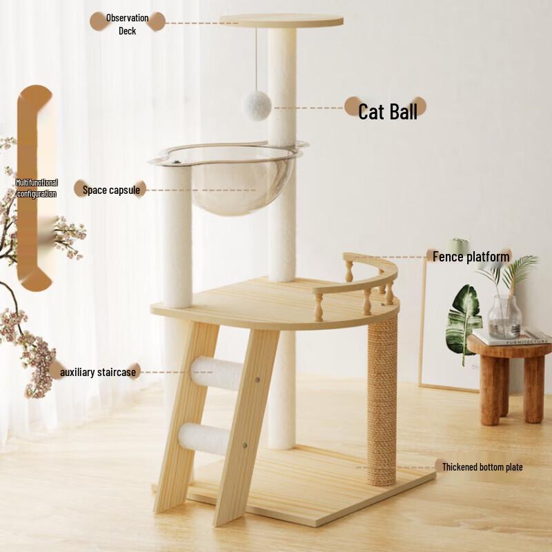 Multi-Level Cat Tree with Space Capsule